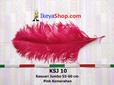 KSJ 10  large2